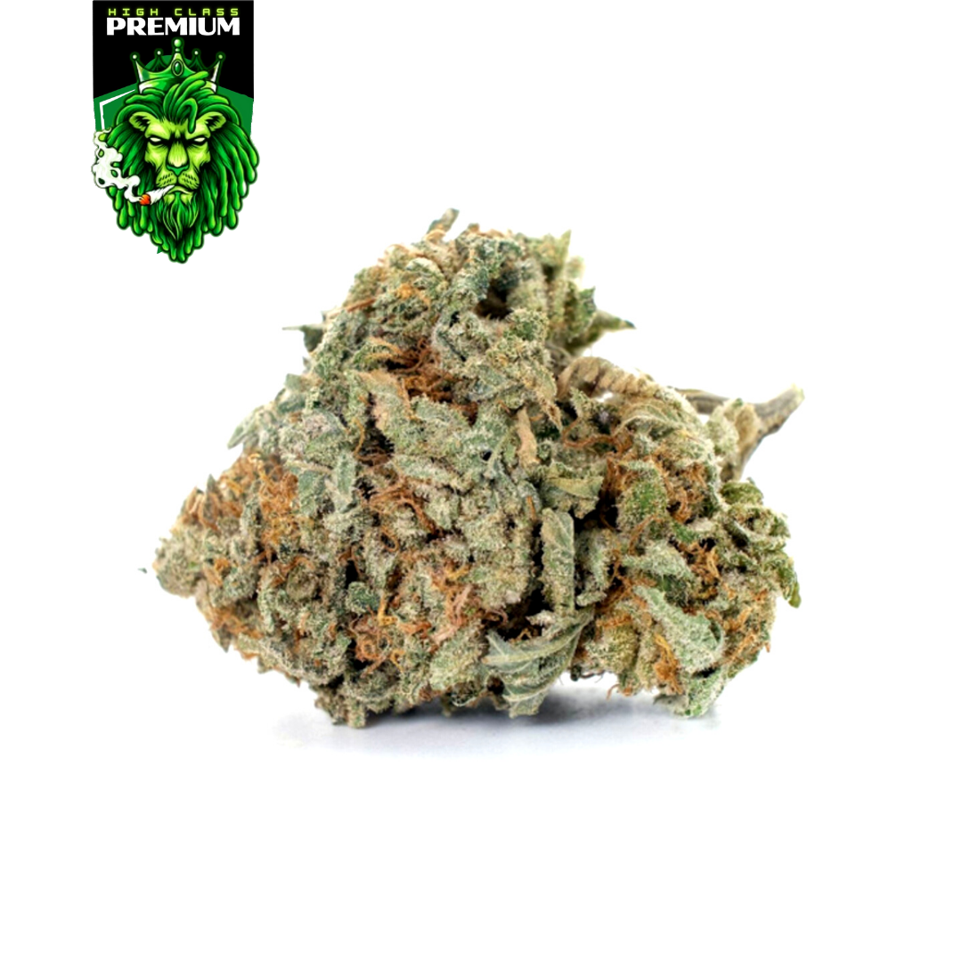  Gorilla Glue